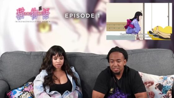Nekomonogatari Black Episode 1 Full Reaction - 51fa3f1c6b5fa29f03d33dd1d50fc394